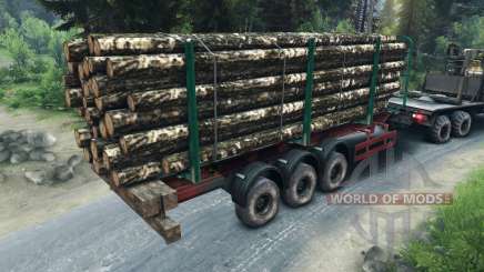 Trailer-Holz für Spin Tires