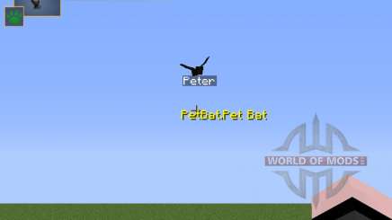 Pet Bat pour Minecraft