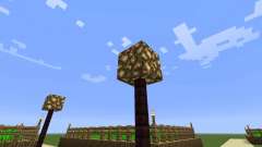 Superior-Dorf für Minecraft
