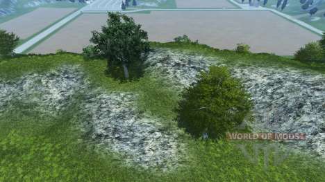 Neue Texturen der Bäume und das gras für Farming Simulator 2013