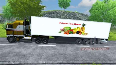 Semi-réfrigérés, KRONE Koffer Cool Liner pour Farming Simulator 2013
