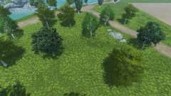 Neue Texturen der Bäume und das gras für Farming Simulator 2013