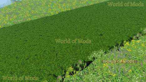 Neue Texturen von gras und Heu für Farming Simulator 2015