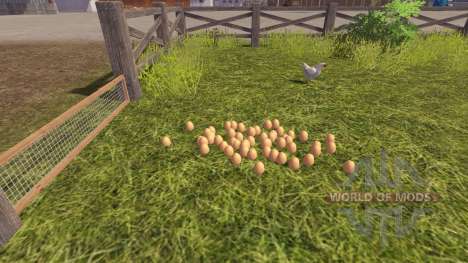 Die Richtigkeit der Eier für Farming Simulator 2013