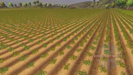 La désactivation de dépérissement des cultures pour Farming Simulator 2013