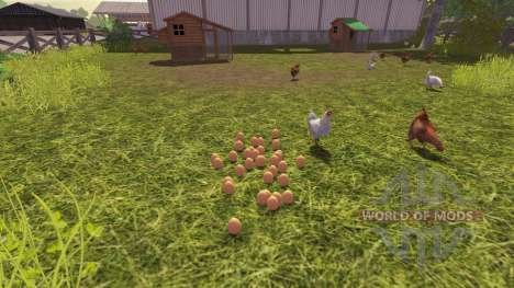 Die Richtigkeit der Eier für Farming Simulator 2013