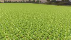 La désactivation de dépérissement des cultures pour Farming Simulator 2013