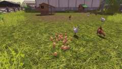 L'exactitude des oeufs pour Farming Simulator 2013