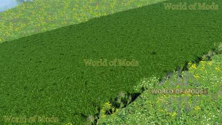 Neue Texturen von gras und Heu für Farming Simulator 2015