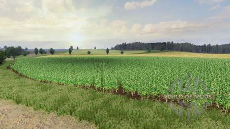 Karte SEC Borki agro für Farming Simulator 2013