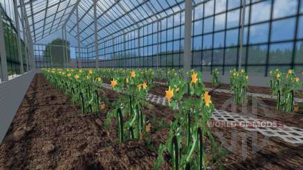 Les serres pour les tomates et les concombres pour Farming Simulator 2015