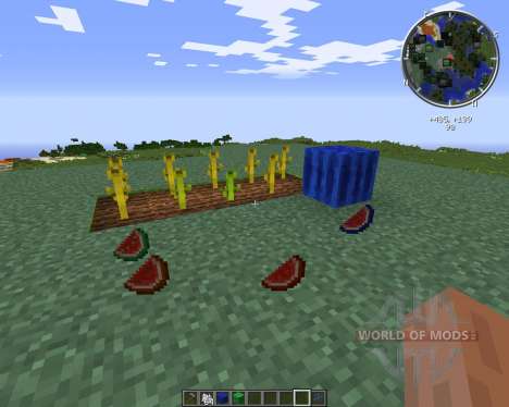 Elemental Melons pour Minecraft