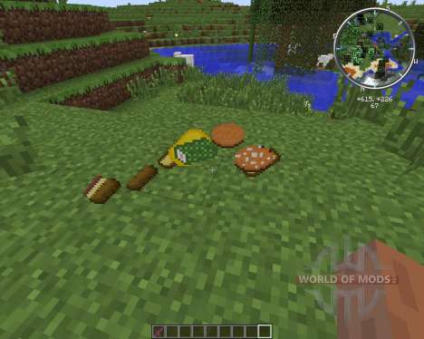 New Foods 2 pour Minecraft