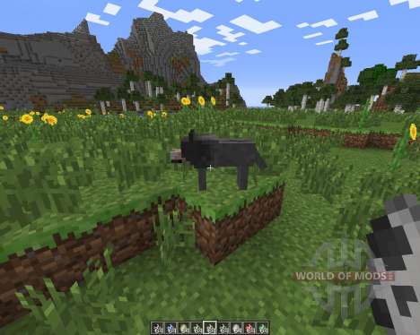 More Wolves pour Minecraft