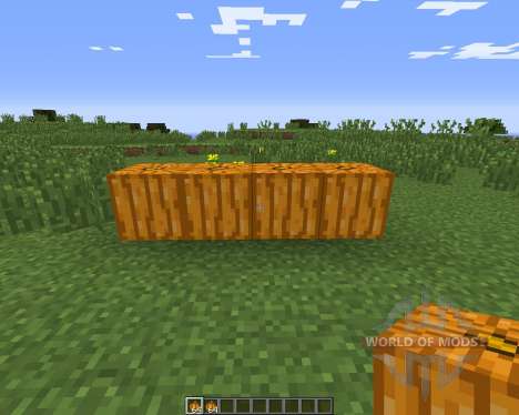 Pumpkin Carvier für Minecraft