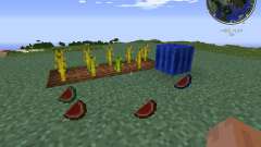 Elemental Melons pour Minecraft