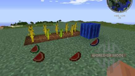 Elemental Melons pour Minecraft