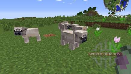 Pug Life pour Minecraft