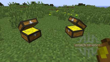 Treasure Chest pour Minecraft