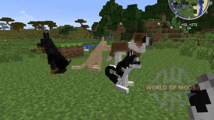 DoggyStyle pour Minecraft