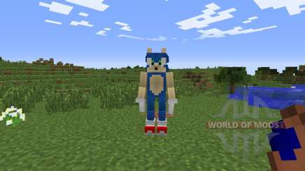 Sonic The Hedgehog pour Minecraft