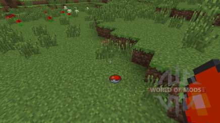 Pokeball pour Minecraft