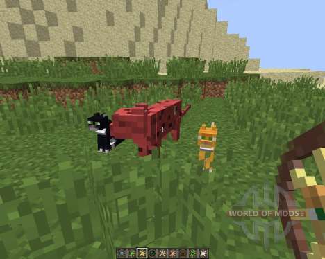 Animal Bikes [1.8] pour Minecraft