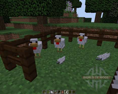 ChickenShed [1.8] pour Minecraft