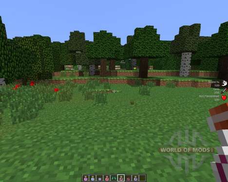 StatusEffectHUD [1.6.4] pour Minecraft