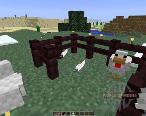 ChickenShed [1.6.4] pour Minecraft