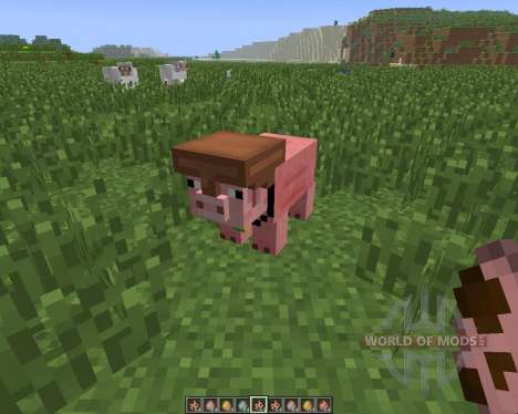 Pig Companion [1.6.4] für Minecraft