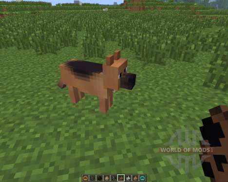 Copious Dogs [1.6.4] pour Minecraft