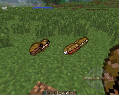 DaFoods [1.6.4] pour Minecraft