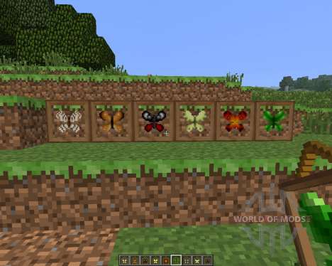 Butterfly Mania [1.6.4] für Minecraft