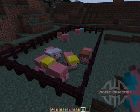 Pig Companion [1.7.2] pour Minecraft