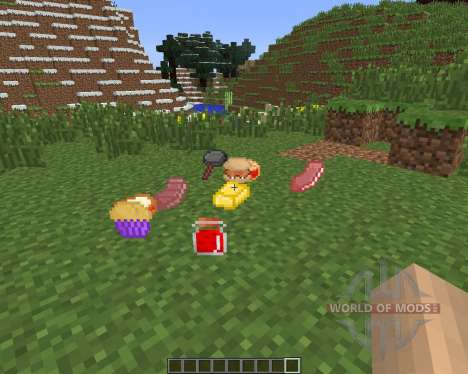 Still Hungry [1.6.4] pour Minecraft