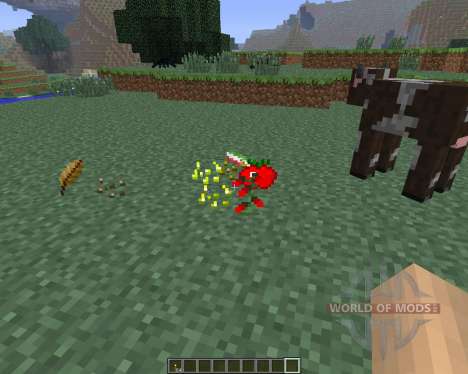 Mexican [1.6.4] pour Minecraft