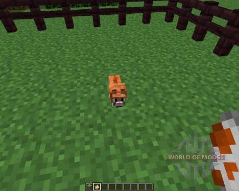 Invincible Hamster [1.5.2] für Minecraft