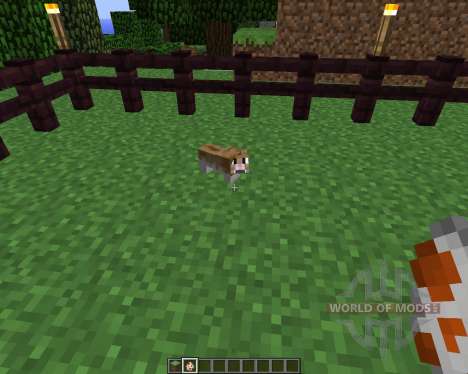 Invincible Hamster [1.5.2] pour Minecraft