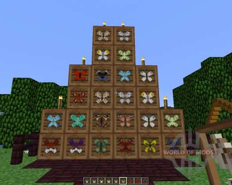 Butterfly Mania [1.5.2] pour Minecraft