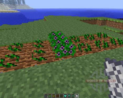 Magical Crops [1.5.2] pour Minecraft