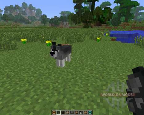 Copious Dogs [1.6.4] für Minecraft