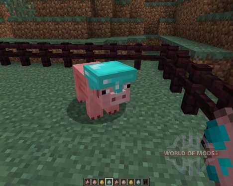 Pig Companion [1.7.2] für Minecraft