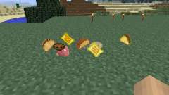 Mexican [1.6.4] pour Minecraft