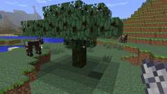 CocoaCraft [1.6.4] pour Minecraft