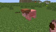 Pig Companion [1.6.4] pour Minecraft