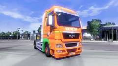 Haut Van Der Vlist auf dem LKW MAN für Euro Truck Simulator 2