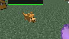 Dog Cat Plus [1.6.4] für Minecraft