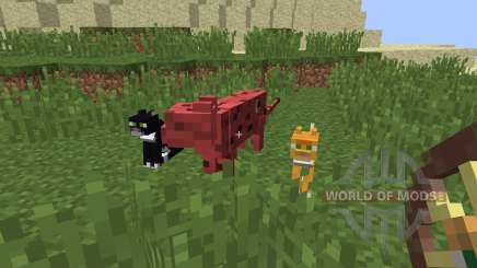 Animal Bikes [1.8] pour Minecraft