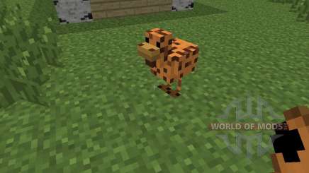 Mo Chickens [1.6.4] pour Minecraft